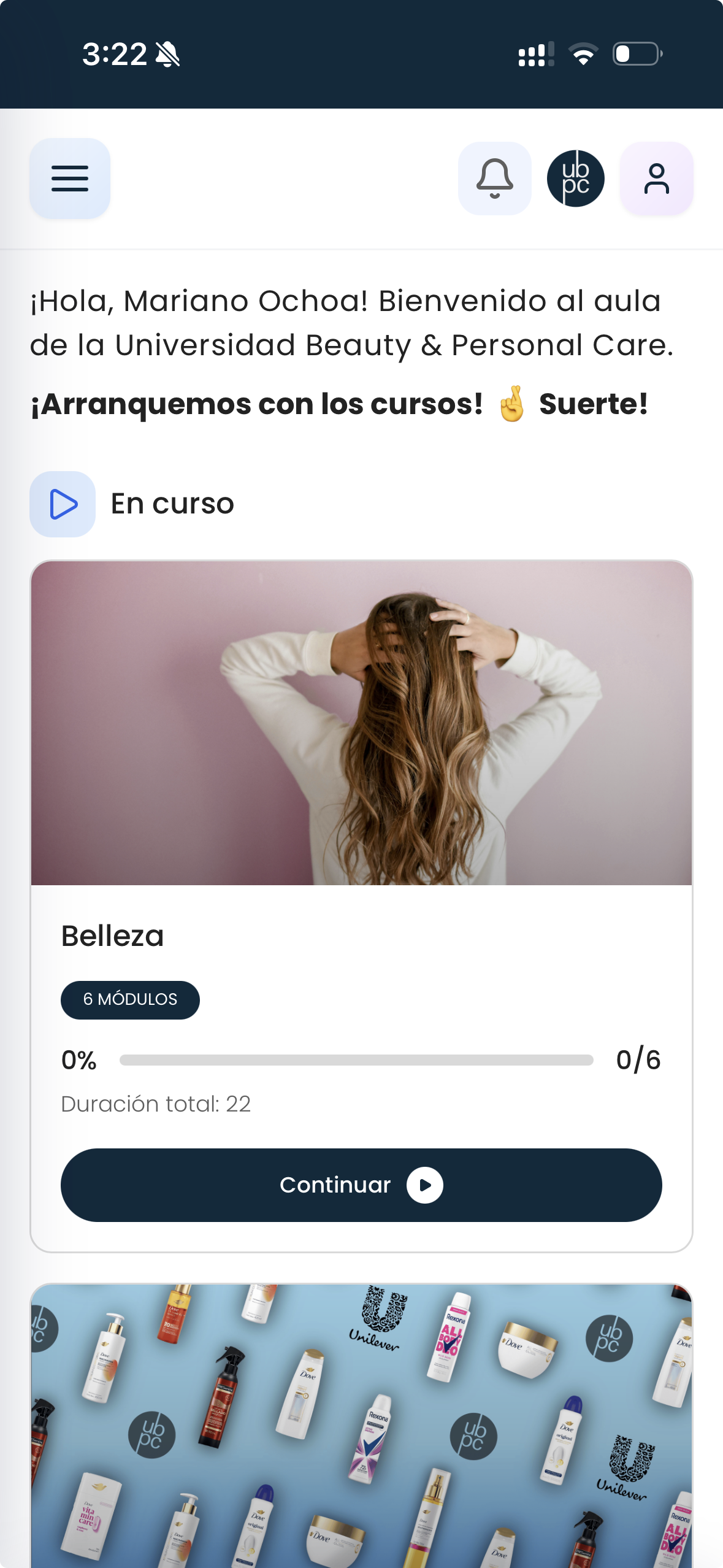Unilever — the challenge